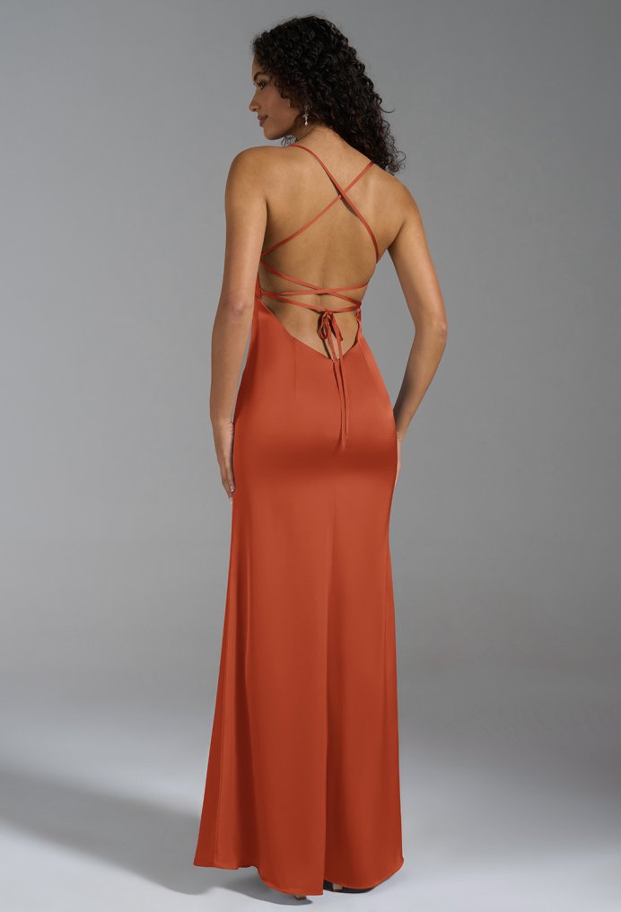AW Shane Dress